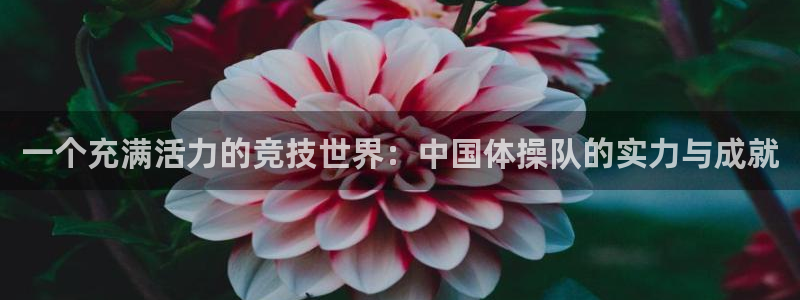 新球体育球币能变现吗?：一个充满活力的竞技世界：中国体操队的实力与成就