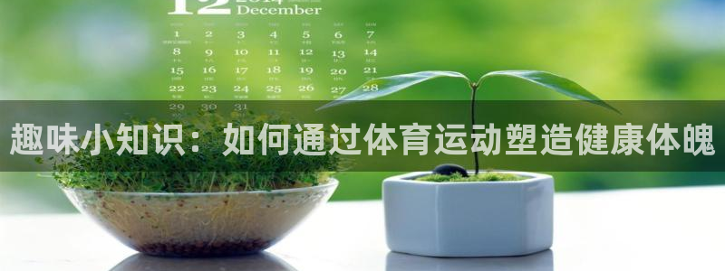新球体育vip：趣味小知识：如何通过体育运动塑造健康体魄