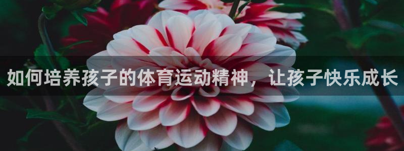 新球体育比分.facca.中国：如何培养孩子的体育运动精神，让孩子快乐成长