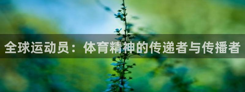 新球体育英超转会：全球运动员：体育精神的传递者与传播者
