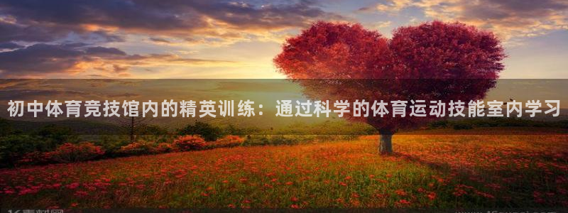 新球体育看不到数据的原因分析及解：初中体育竞技馆内的精英训练：通过科学的体育运动技能室内学习