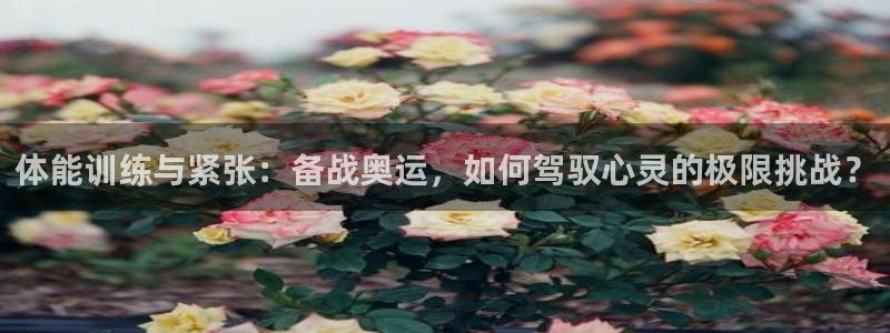新球体育日职：体能训练与紧张：备战奥运，如何驾驭心灵的极限挑战？