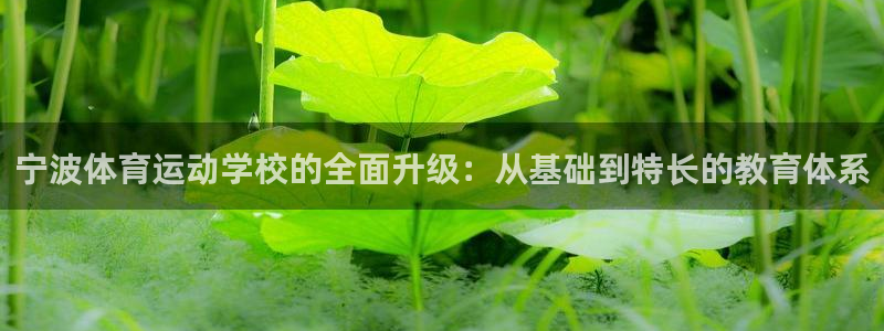 新球体育为什么看不了盘口了：宁波体育运动学校的全面升级：从基础到特长的教育体系