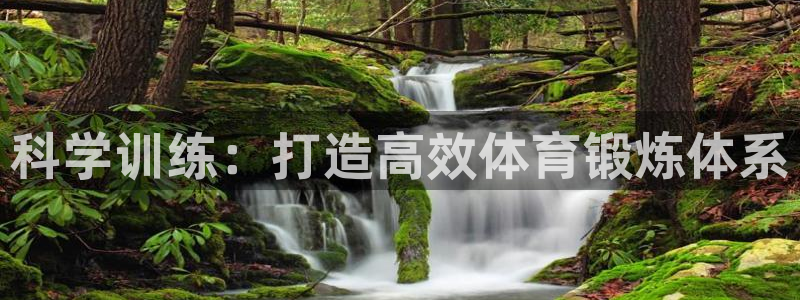 新球体育球探比分：科学训练：打造高效体育锻炼体系
